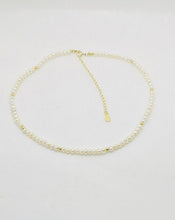 Load image into Gallery viewer, Pearl Beads Choker
